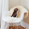 Labrador Chocolate Throw Pillow By All About Vibe