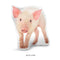 Custom Pig Pillow
