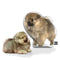 Personalized Pomeranian Pillow