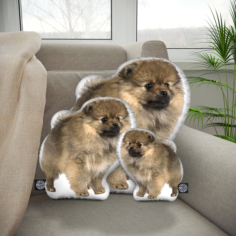 Personalized Pomeranian Pillow