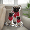 Personalized Pug Pillow