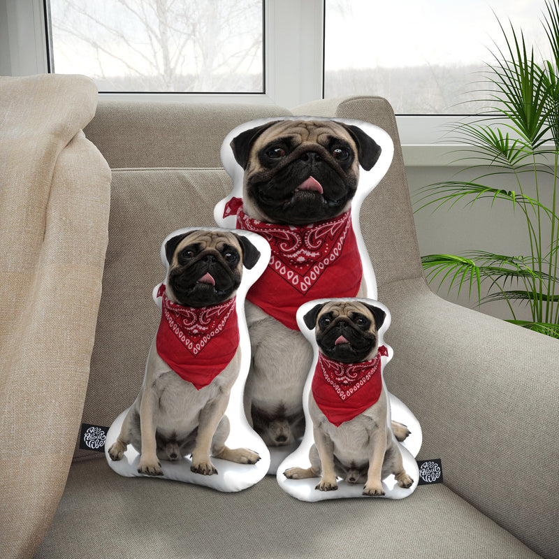 Personalized Pug Pillow