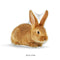 Custom Rabbit Pillow