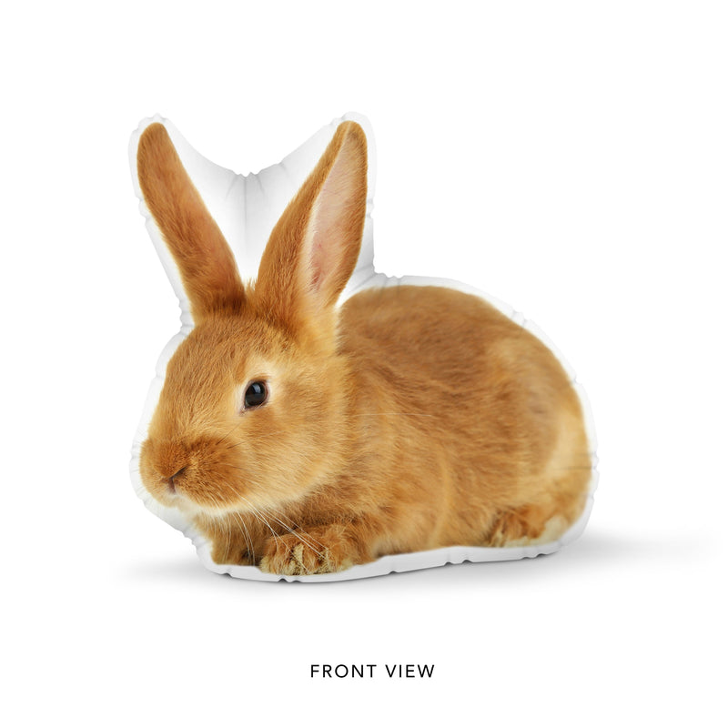 Custom Rabbit Pillow
