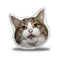 Rexiecat Curled Tongue Throw Pillow