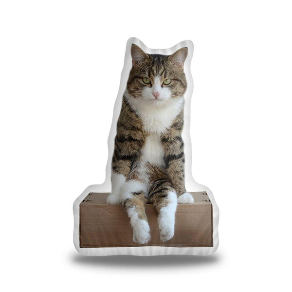 Rexiecat On A Box Throw Pillow