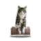 Rexiecat On A Box Throw Pillow