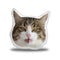 Rexiecat Tongue Trick Throw Pillow