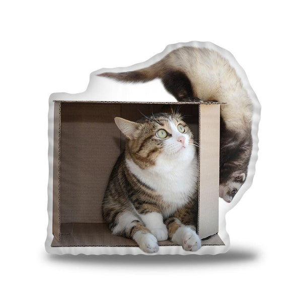 Rexiecat And Ferret Throw Pillow