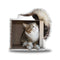 Rexiecat And Ferret Throw Pillow