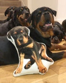 Personalized Rottweiler Pillow