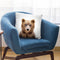 Baby Bear Throw Pillow By Sisi And Seb