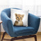 Baby Lion Throw Pillow By Sisi And Seb