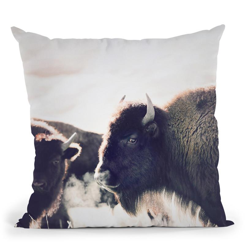Bison Throw Pillow By Sisi And Seb