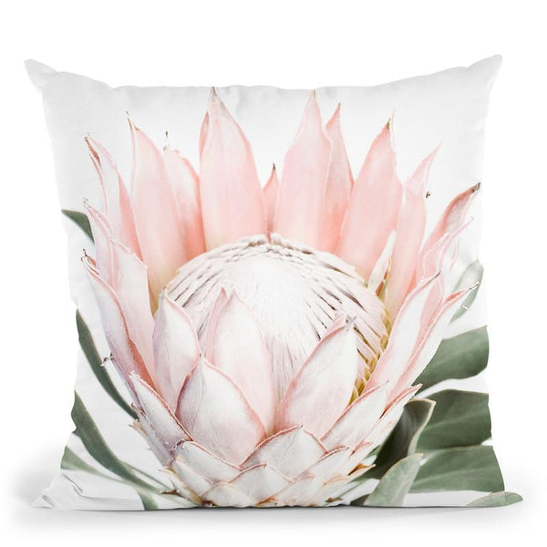 Blush Protea Throw Pillow By Sisi And Seb