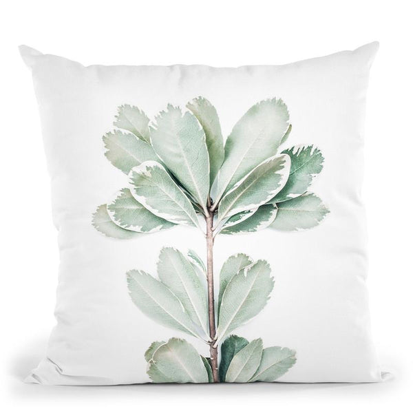 Botanical Ii Throw Pillow By Sisi And Seb