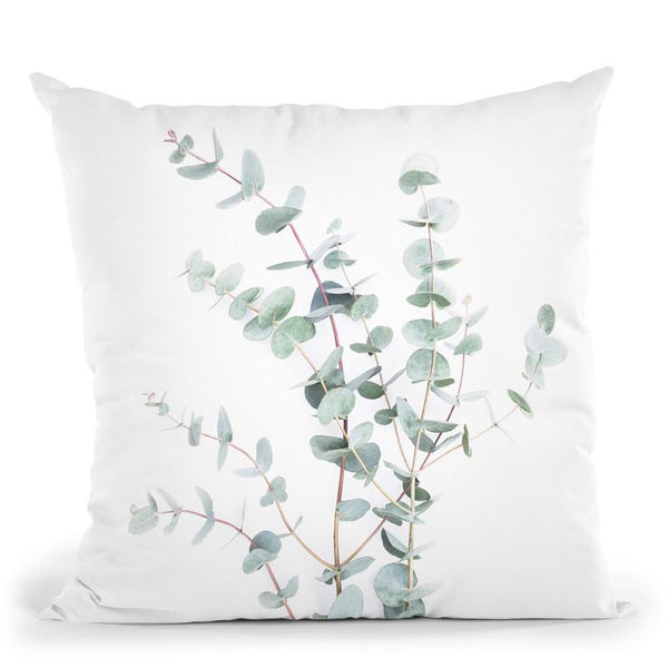 Botanical Iii Throw Pillow By Sisi And Seb