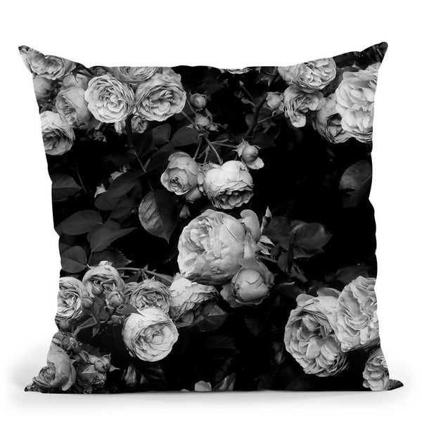 Bw Roses Throw Pillow By Sisi And Seb