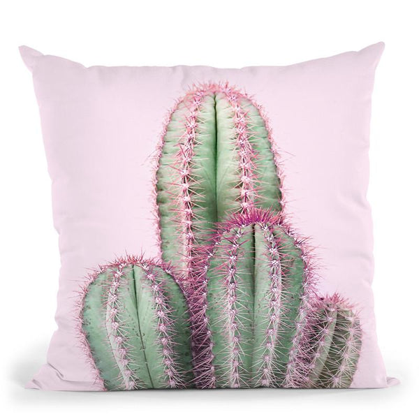 Cactus Pink Throw Pillow By Sisi And Seb