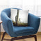 Desert Cactus Throw Pillow By Sisi And Seb