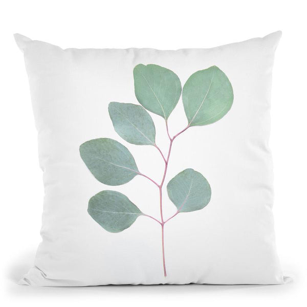 Eucalyptus Iv Throw Pillow By Sisi And Seb