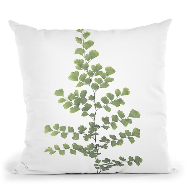 Ferni Throw Pillow By Sisi And Seb