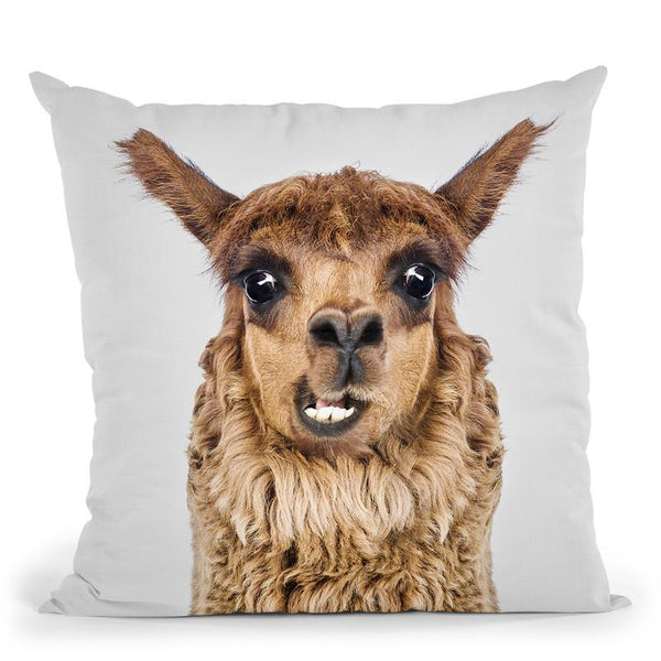 Funny Llama Throw Pillow By Sisi And Seb