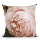 Garden Rose Throw Pillow By Sisi And Seb