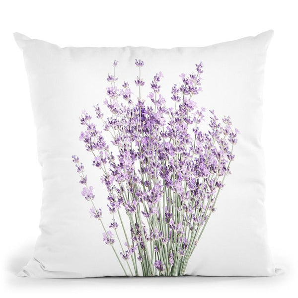 Lavender Throw Pillow By Sisi And Seb
