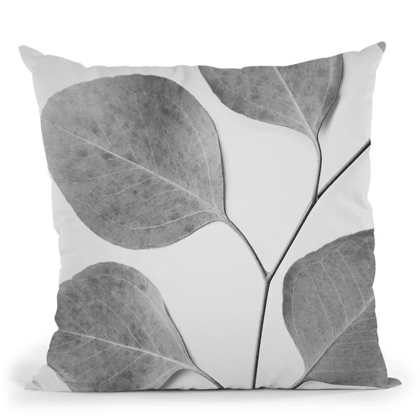 Leaf Bw Throw Pillow By Sisi And Seb