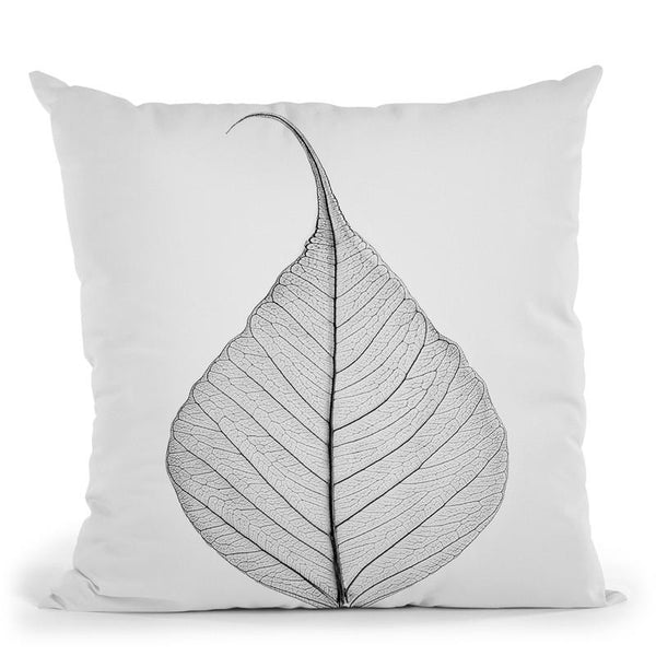 Leaf Skelleton Throw Pillow By Sisi And Seb