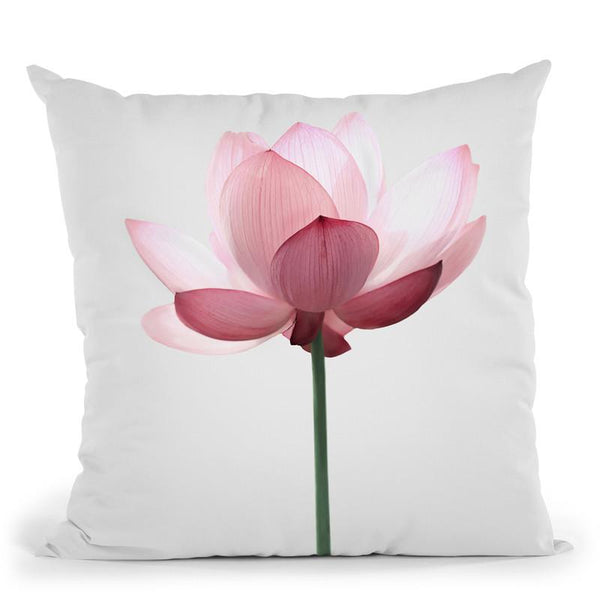 Lotus Throw Pillow By Sisi And Seb