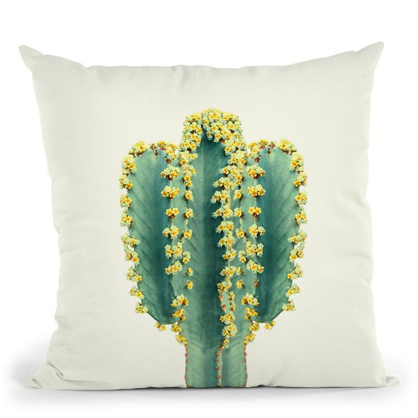 Mexican Cactus Throw Pillow By Sisi And Seb