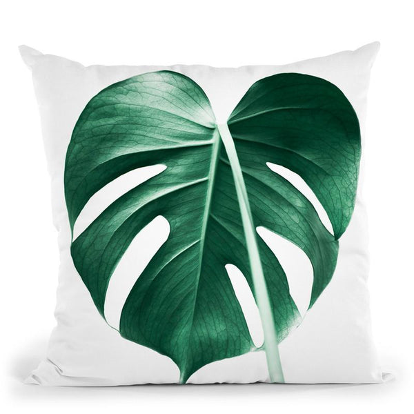 Monstera K Throw Pillow By Sisi And Seb