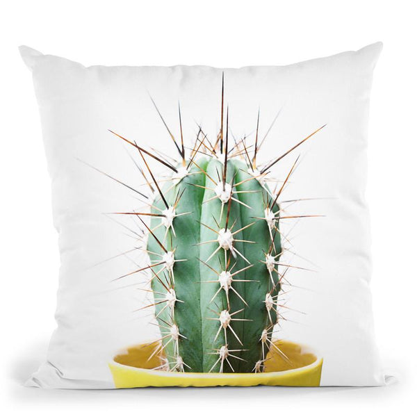 My Cactus Throw Pillow By Sisi And Seb