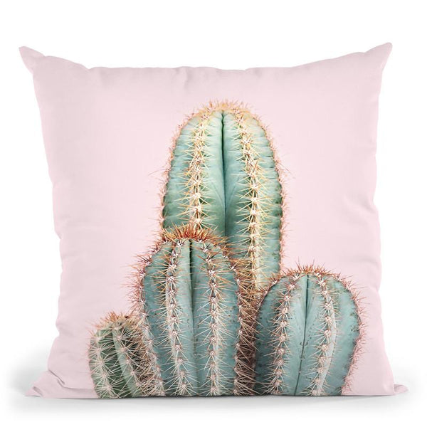 Pastel Cactus Throw Pillow By Sisi And Seb