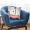 Pink Van Throw Pillow By Sisi And Seb