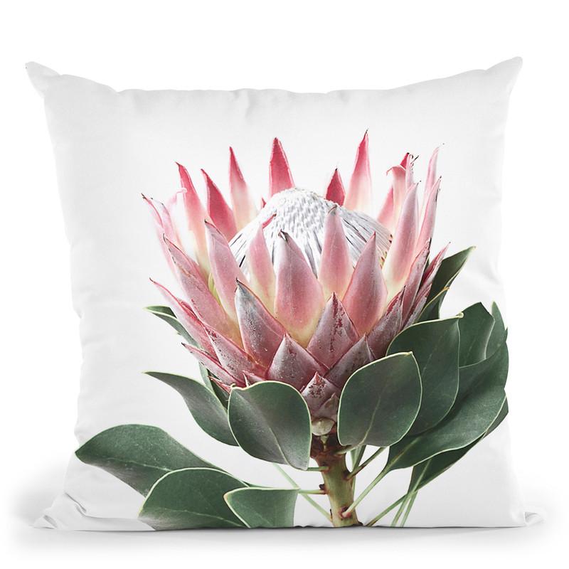 Protea Throw Pillow By Sisi And Seb
