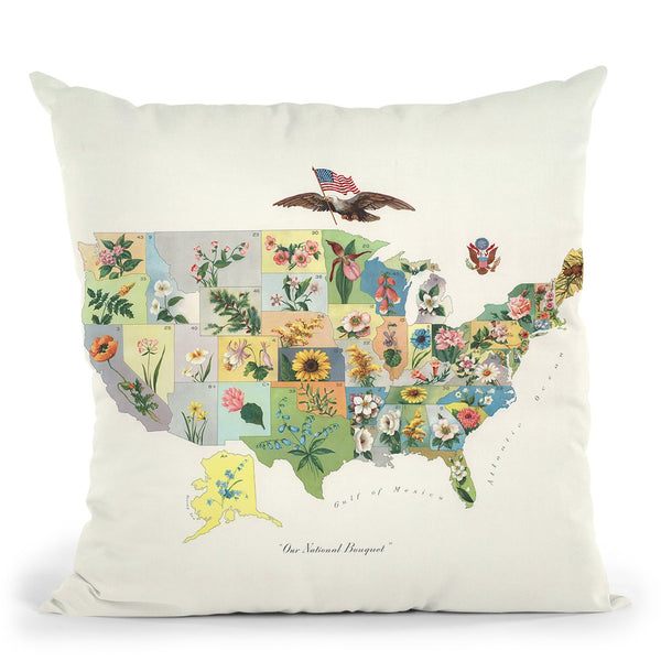 United States Botanical Map 1911 Throw Pillow By Adam Shaw