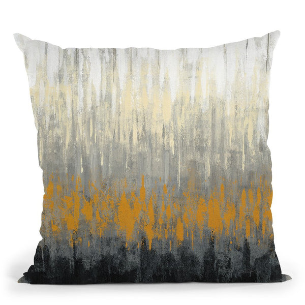 Rain On The Asphalt Throw Pillow By Silvia Vassileva