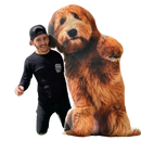 Custom Lifesize Pillow