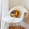 Stungaped Throw Pillow By Vlada Haggerty - by all about vibe
