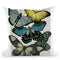 Big Bold Butterflies 6 Throw Pillow By World Art Group