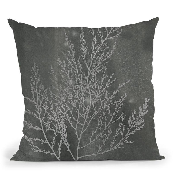 Silver Foil Algae Ii On Black Wash Throw Pillow By World Art Group