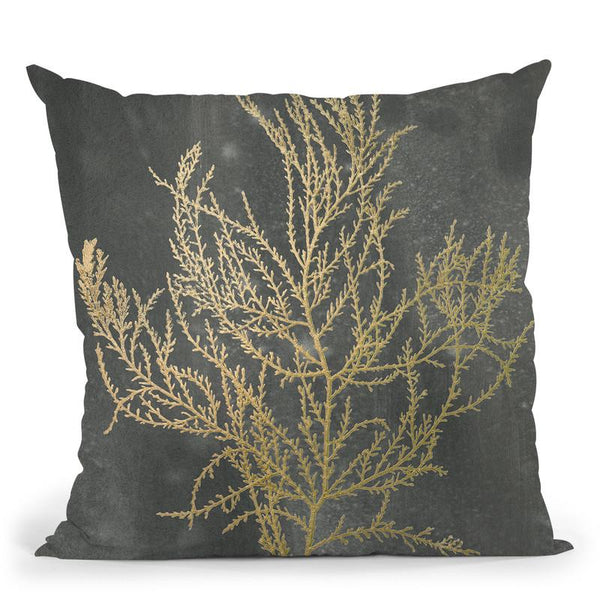 Gold Foil Algae Iii On Black Throw Pillow By World Art Group