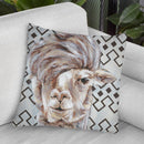 Animal Patterns Ii Throw Pillow By World Art Group