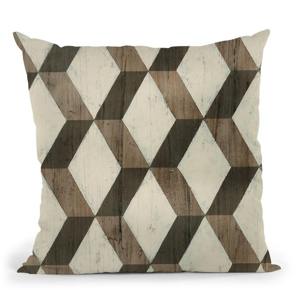 Driftwood Geometry I Throw Pillow By World Art Group
