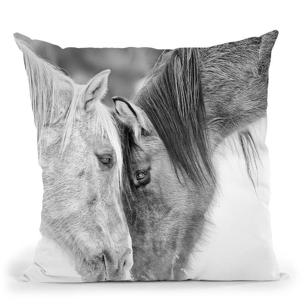B&W Horses Vii Throw Pillow By World Art Group