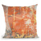 Terre Cotta Lace I Throw Pillow By World Art Group