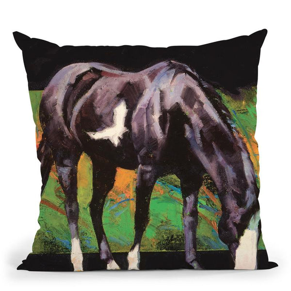 Color Square Ii Throw Pillow By World Art Group